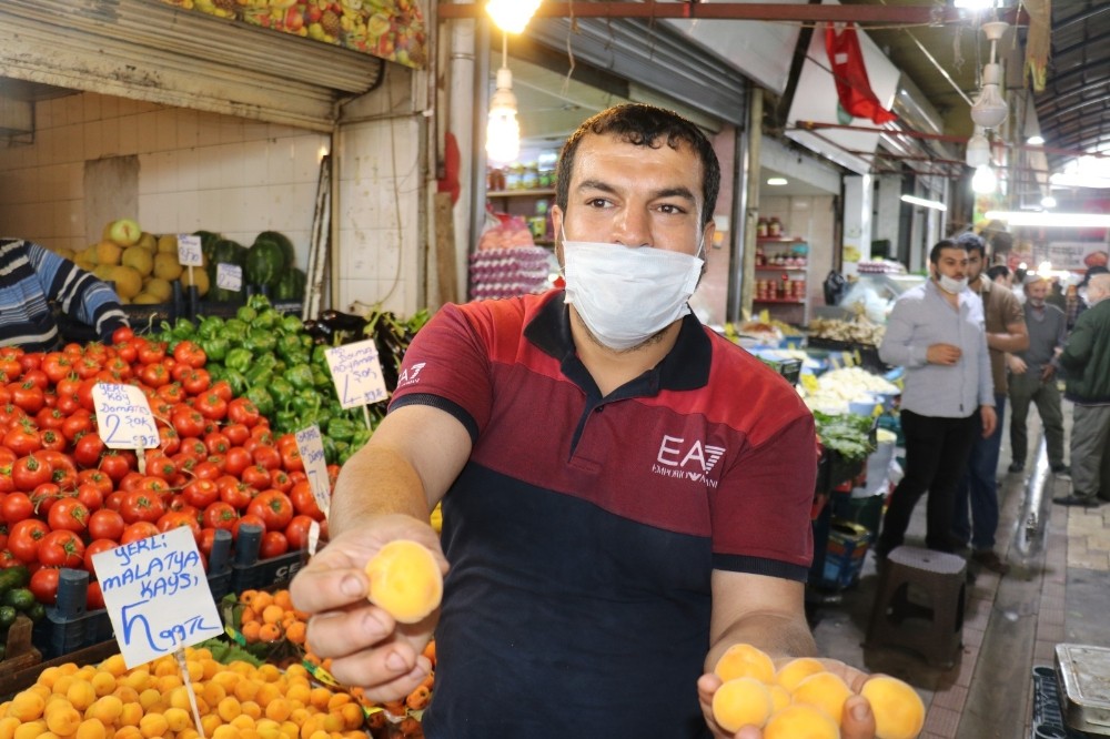 Malatya kayısısı tezgahlara geldi 