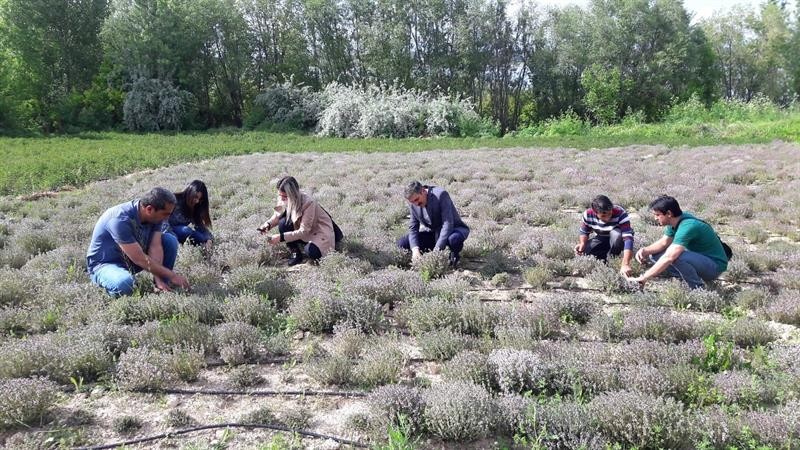 Malatya yüksek sıcaklık etkisinde 