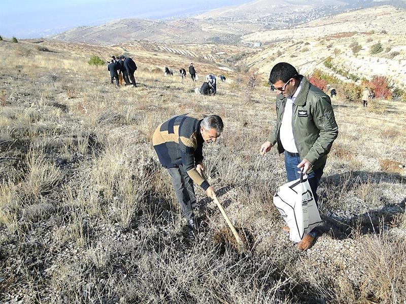 Malatya’da 7 tarım projesi desteklenecek 