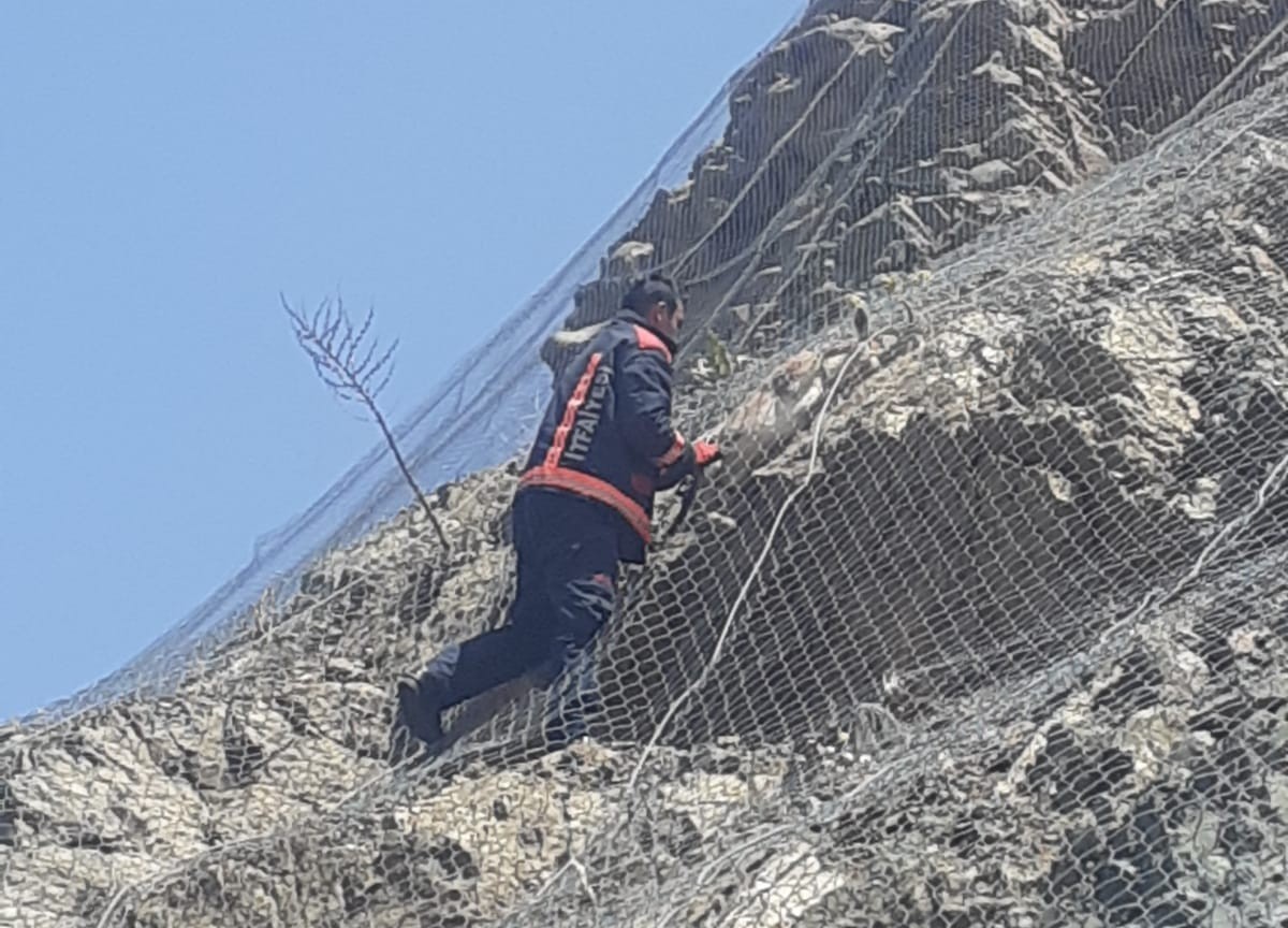 Malatya'da ağa takılan 2 yaban keçisi kurtarıldı