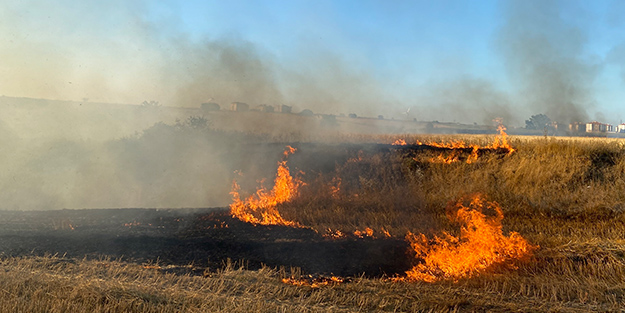 Malatya’da anız yakılması yasaklandı