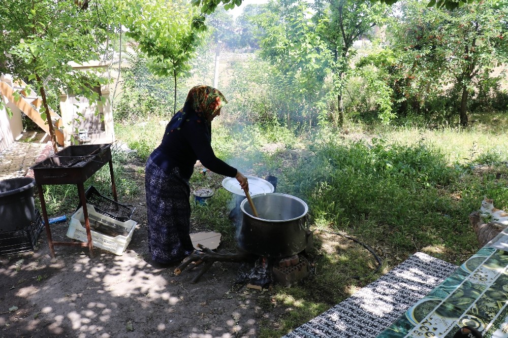Malatya’da dut pekmezi mesaisi başladı 