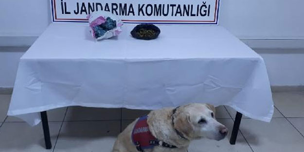 Malatya'da kaçakçılık ve uyuşturucu operasyonu: 3 gözaltı
