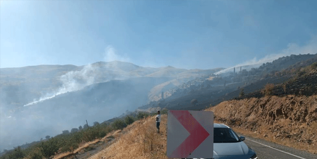 Malatya'da orman yangını
