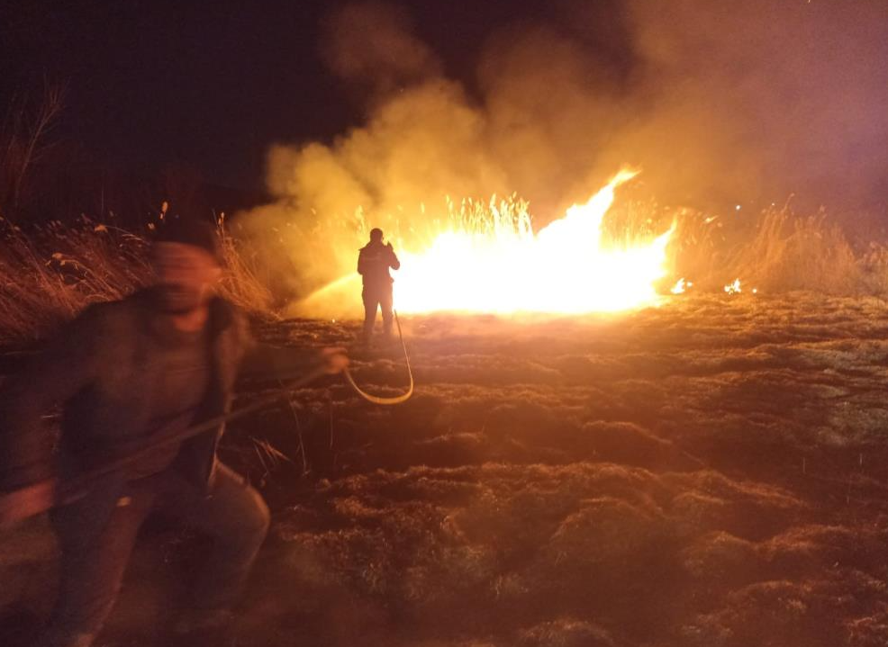 Malatya'da sazlık alanda yangın