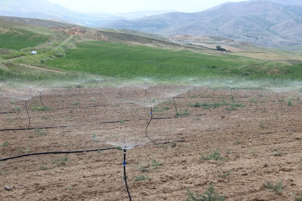 Malatya’da sulama ile 635 milyon 347 bin TL kazanılacak 