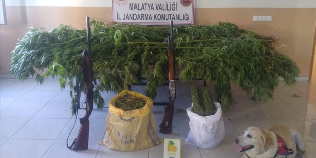 Malatya'da uyuşturucu satıcılarına yönelik operasyon