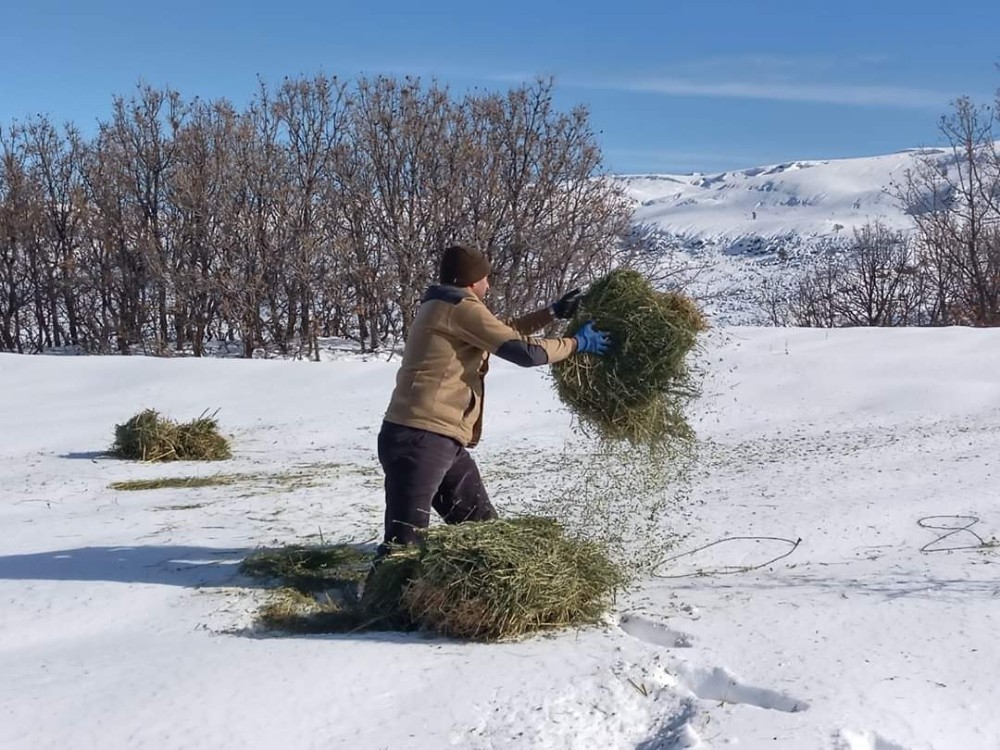 Malatya’da yaban hayvanları unutulmadı 