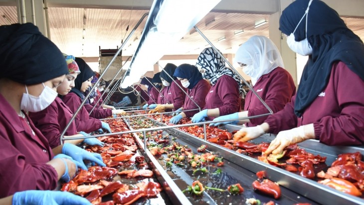 Malatya’dan Avrupa’ya ve ABD’ye dondurulmuş gıda ihracatı