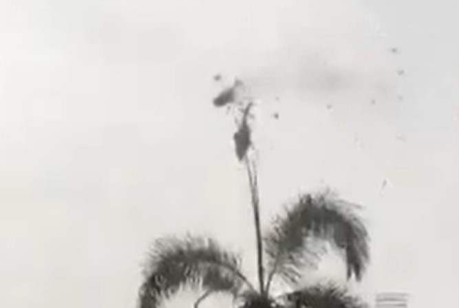 Malezya donanmasına ait helikopterler havada çarpıştı: 10 ölü