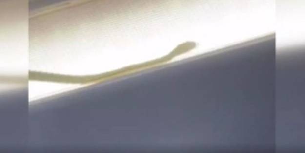 Malezya'da uçakta panik! Acil iniş yapıldı