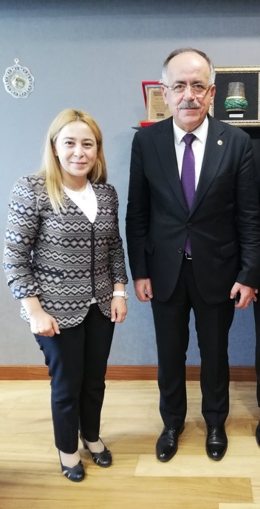 Mali müşavirlere yeşil pasaport için kanun teklifi 