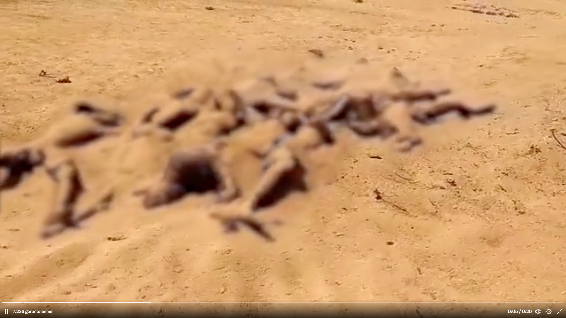 Mali'deki vahşeti kim yaptı? Fransa ve Rusya’nın katliam kavgası