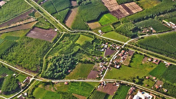 Maliye Bakanı müjdeyi açıkladı! Hazine arazilerini kullananlar....