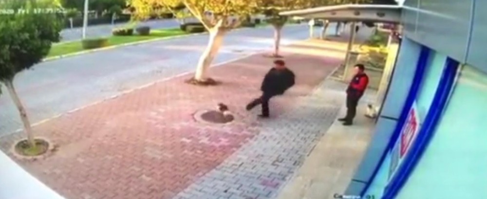 Mama bırakılmasına tepki gösterip kedileri tekmeleyen şüpheli serbest bırakıldı 