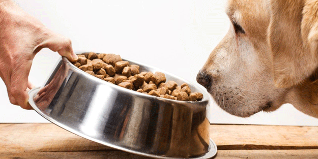 "Mama" dilencilerinin vurgunu durdurulsun