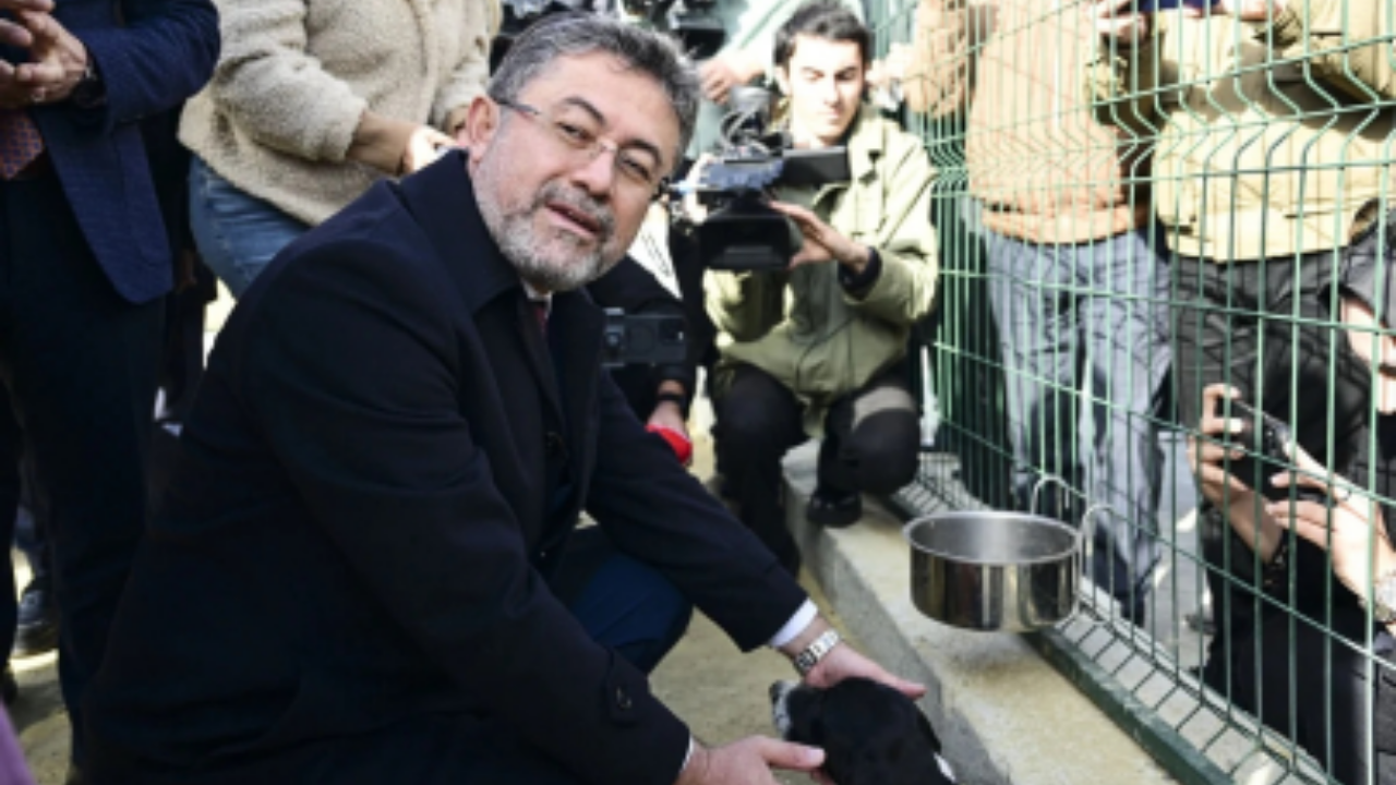 Mama lobisi ve köpekperestleri çıldırtan hamle! Bakan Yumaklı bakın ne yaptı