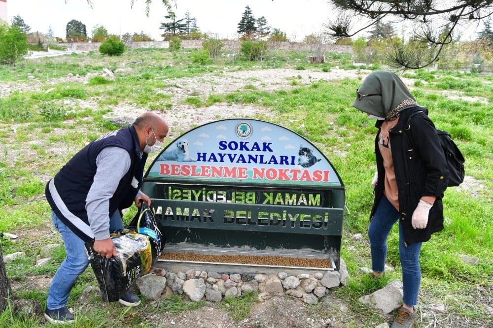 Mamak’ta sokak hayvanları için beslenme noktaları 