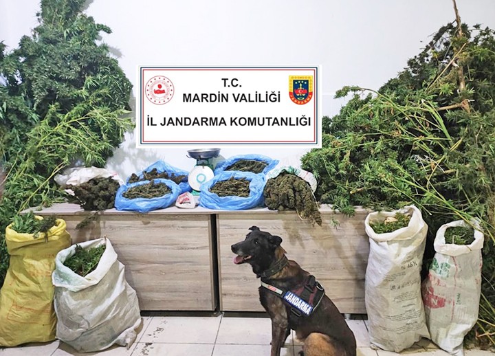 Manav dükkanı mühürlendi: İşlettiği manav dükkanında marul değil, esrar satıyormuş