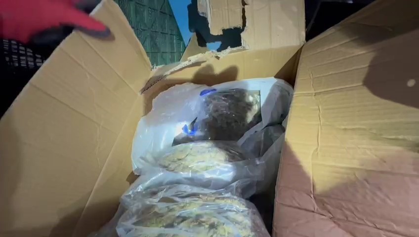 Manavdan 15 kilo esrar çıktı!