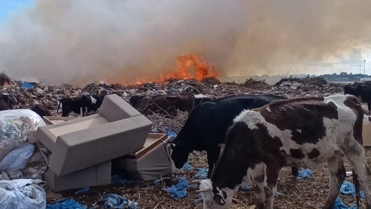 Manavgat'ta çöplük alanda çıkan yangında ilginç görüntüler