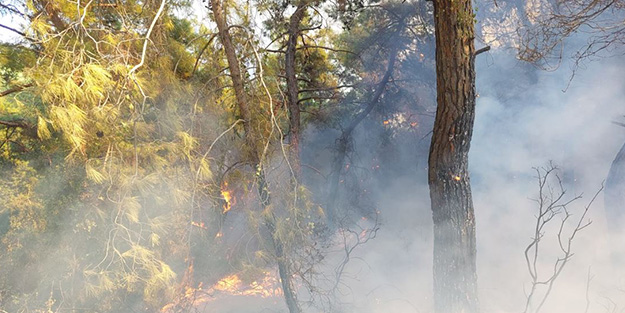 Manavgat'ta korkutan orman yangını! Ekipler sevk edildi