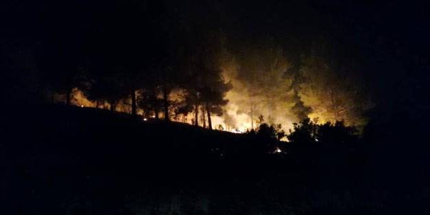 Manavgat'ta ormanlık alan alan alev alev yandı