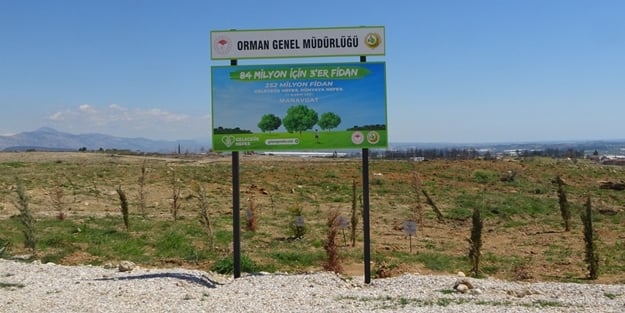 Manavgat'ta yanan ormanların yüzde 70'i ağaçlandırıldı