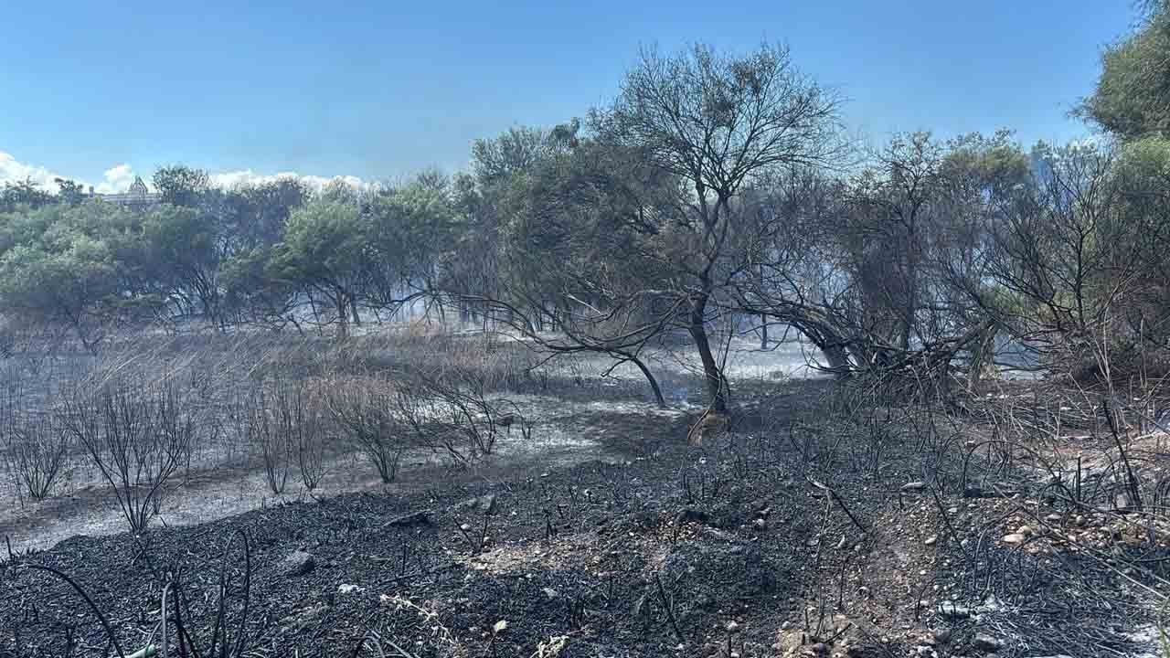 Manavgat’ta yangın paniği: Oteller bölgesi alevlerle sarsıldı!