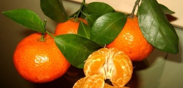 Mandalina kabuğunun öyle bir faydası var ki