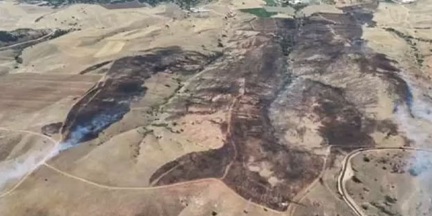 Mangal ateşi 3 bin dönüm araziyi küle çevirdi