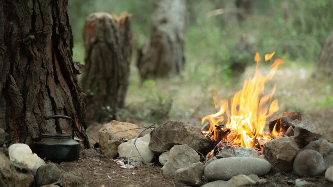 Mangal ve piknik ateşi yakmak yasaklandı