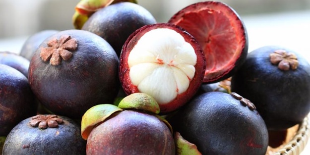 Mangosteen meyvesi kanserle savaşıyor!