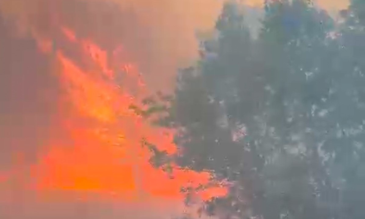 Manisa Akhisar’da orman yangını