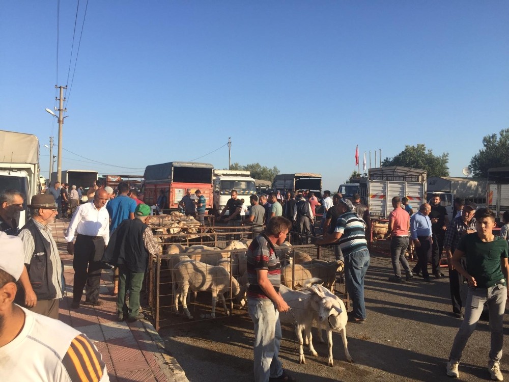 Manisa Büyükşehir zabıtasından yoğun bayram mesaisi 