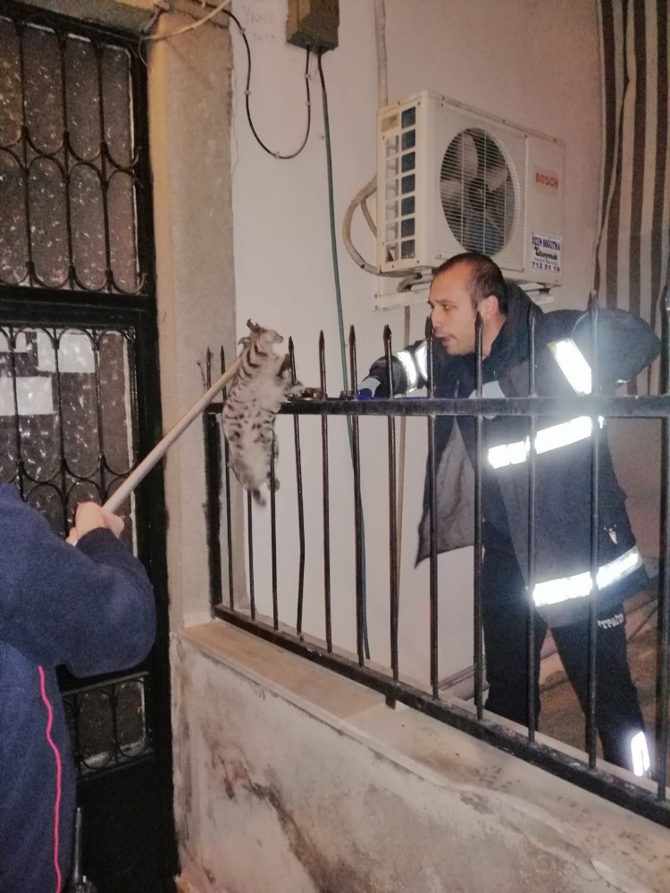 Manisa itfaiyesinden hayvan dostlarına yaşam eli 