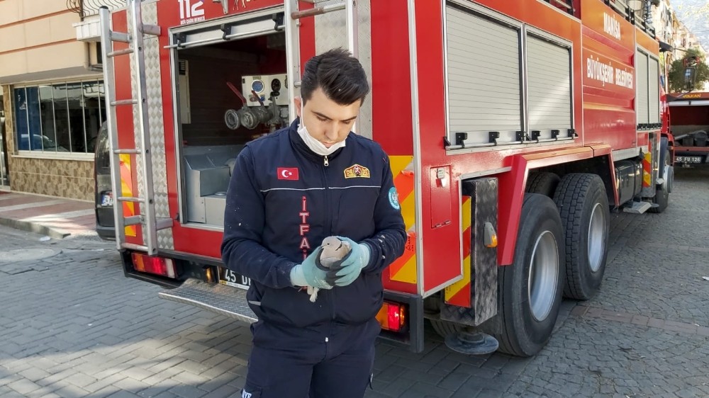 Manisa İtfaiyesinden kuş kurtarma operasyonları 