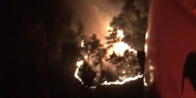 Manisa'da 2 orman yangını