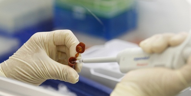 O ilde 3 domuz gribi vakası!