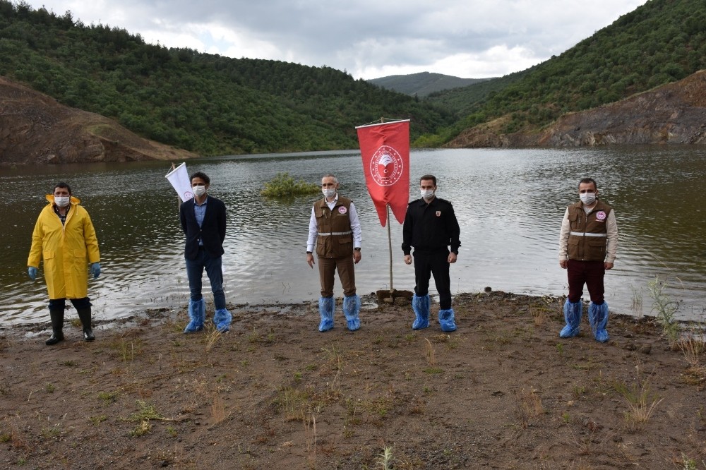 Manisa’da 72 bin pullu sazan balığı yavrusu suyla buluştu 