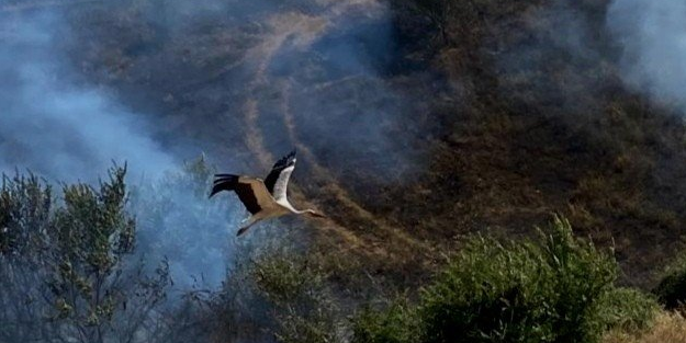 Manisa'da acının fotoğrafı