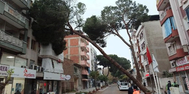 Manisa'da akılalmaz olay: Birer gün ara ile devrildiler