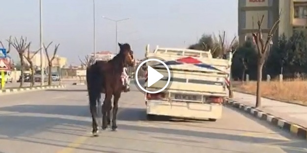 Manisa'da akılalmaz vicdansızlık!