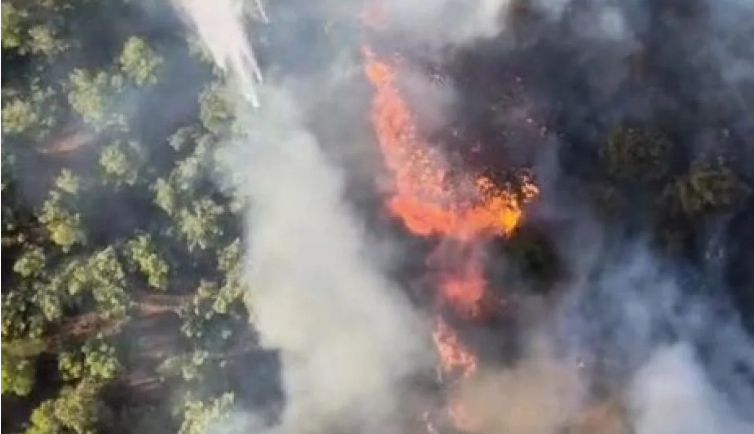 Manisa'da ciğerlerimiz yanıyor!