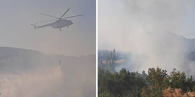 Manisa'da çıkan orman yangını kontrol altına alındı