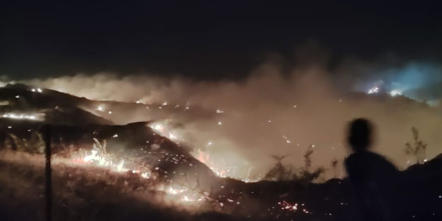 Manisa'da çıkan yangın kontrol altına alındı