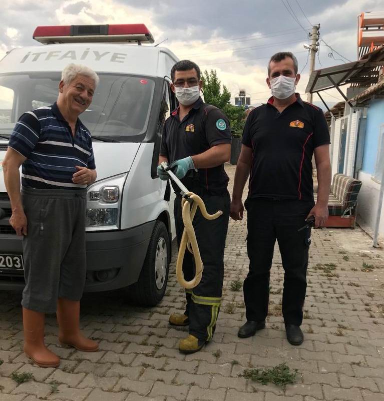 Manisa’da evde yılan paniği 