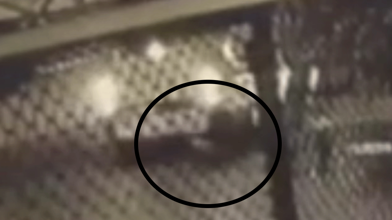 Manisa'da geri manevra yapan otomobil kadını öldürdü!