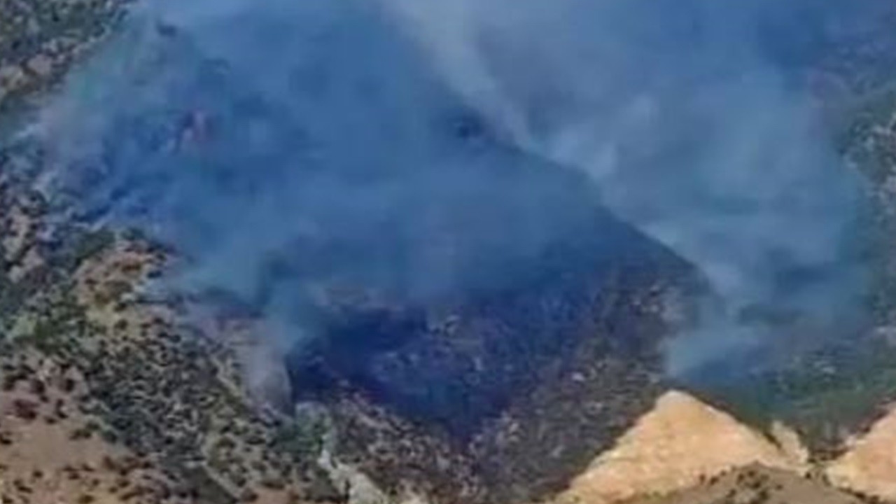 Manisa'da korkutan orman yangını