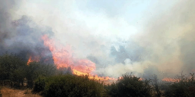 Manisa'da korkutan yangın